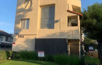 3146Vine