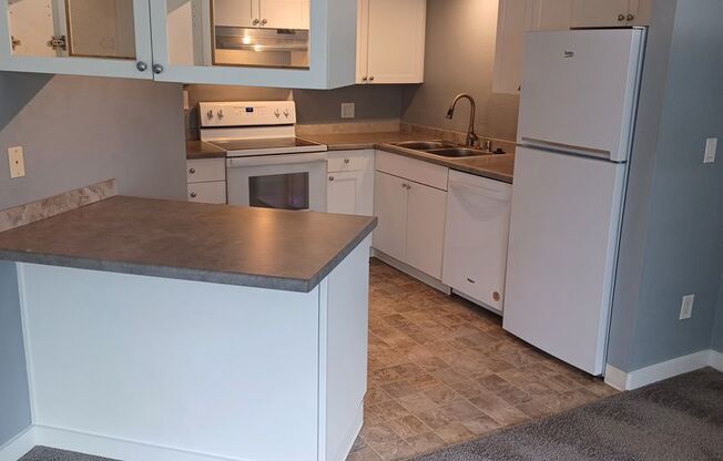 Luxurious Des Moines Living 3Bed 1.75Bath 1,156 SF