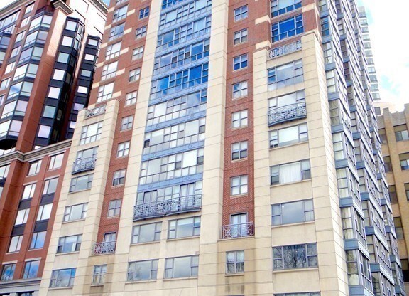 Studio, 1 bath, 537 sqft, $2,850, Unit 205