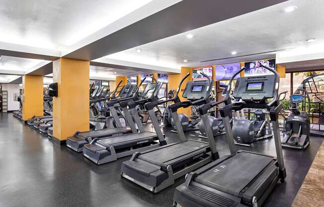 A gym with treadmills and elliptical machines.