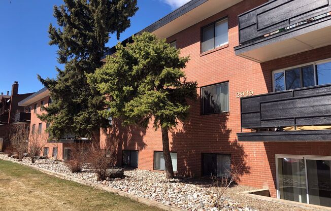 2 beds, 1 bath, 875 sqft, $1,895, Unit 106