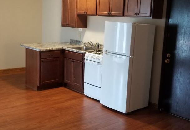 Studio, 1 bath, 400 sqft, $869, Unit 311