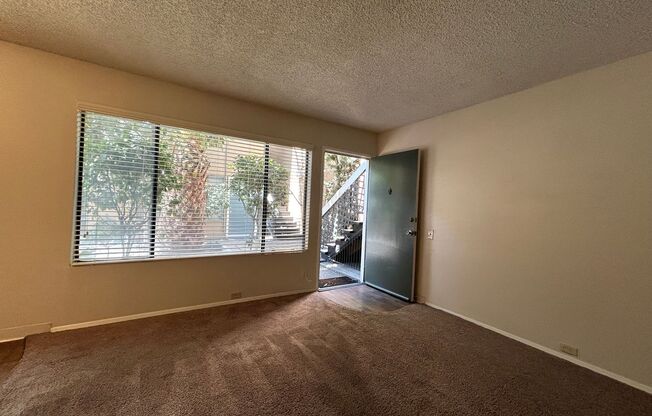 1 bed, 1 bath, $1,600, Unit 11