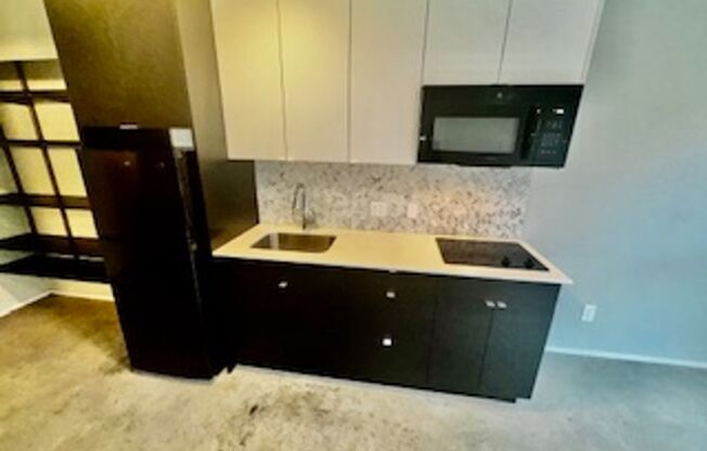 Studio, 1 bath, 326 sqft, $1,395, Unit 313