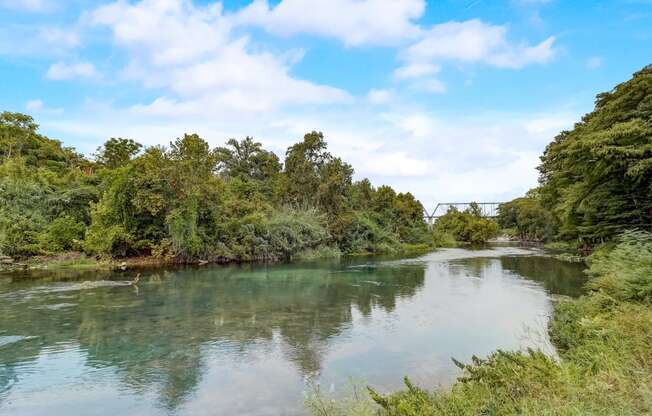a river with trees on either side and a bridge in the background