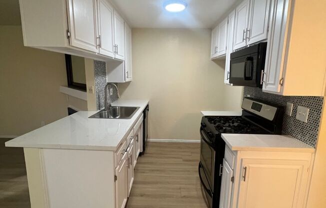 1 bed, 1 bath, $1,700, Unit 204