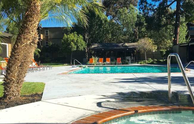 A pool with a hot tub and a palm tree.