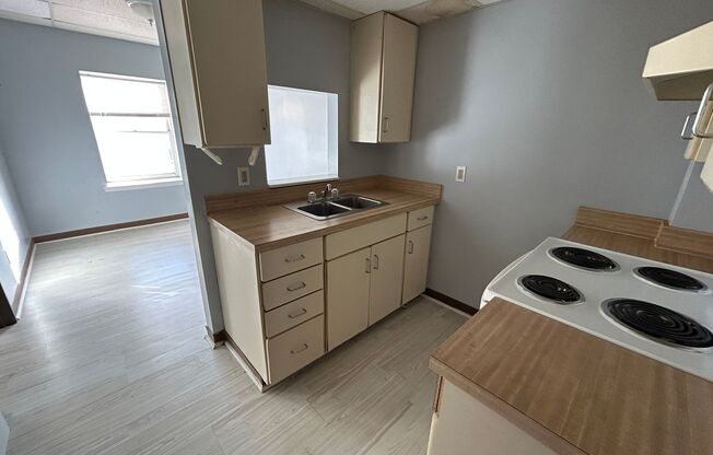 1 bed, 1 bath, 600 sqft, $550, Unit 307