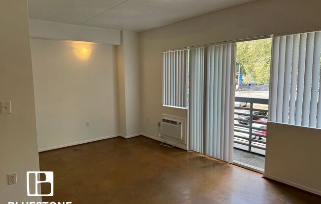 Studio, 1 bath, 400 sqft, $1,050, Unit 305
