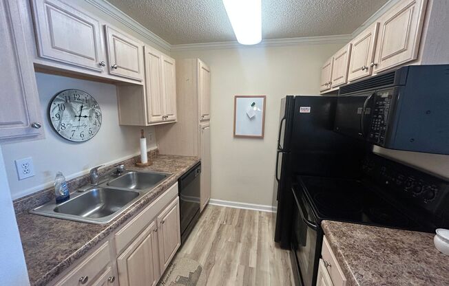 1 bed, 1 bath, $1,250