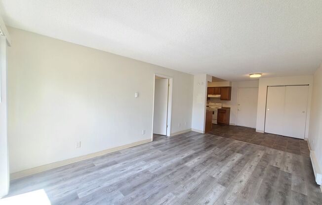 1 bed, 1 bath, $995, Unit 301