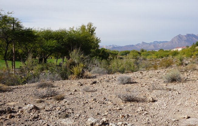 TOTALLY RENOVATED Summerlin Condo - Lake Mead/Buffalo * 2 Bedroom 2 Bath