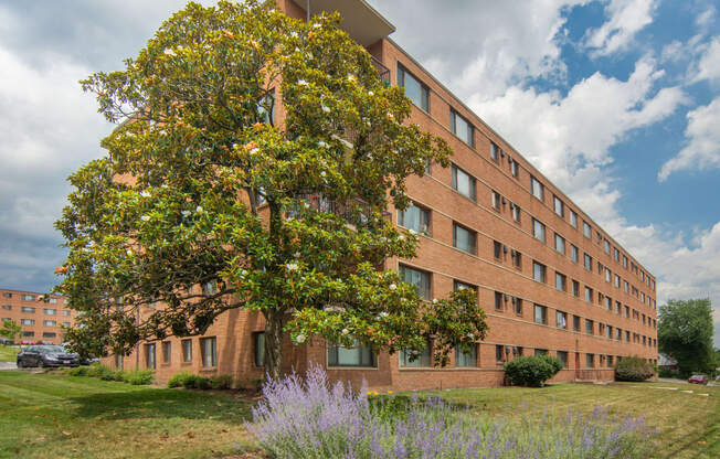 a building with a tree in front of it