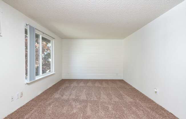 Sedona| Living Room with Carpet