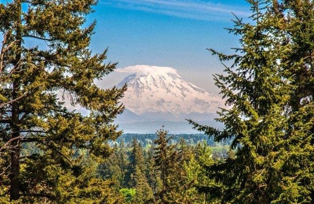Chambers Creek Mt. Rainier View