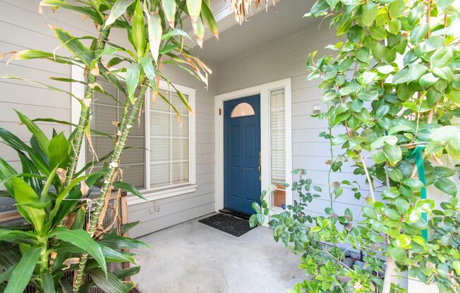 Amazing Downtown Campbell Location * Hardwood Floors * Spacious and Bright