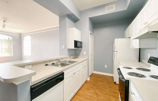 Newly painted Two Bedroom, Two Bathroom For Rent in New Tampa