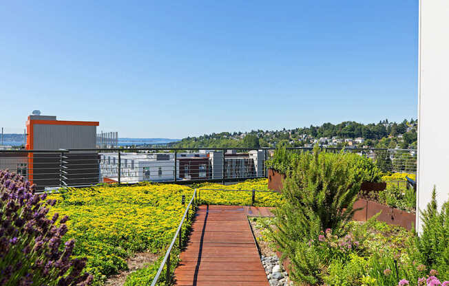 A garden with a wooden walkway and a variety of plants.