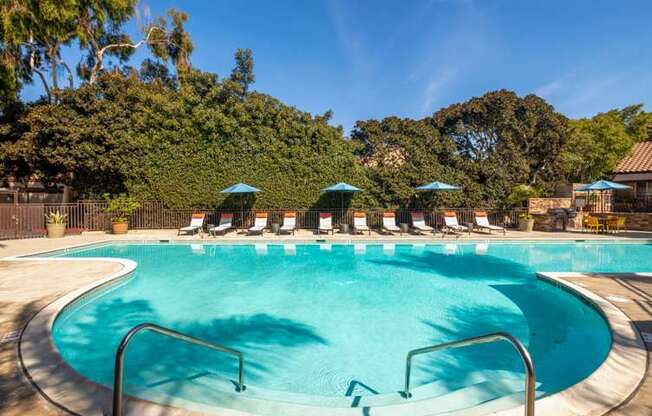 A large outdoor swimming pool surrounded by trees and lounge chairs.