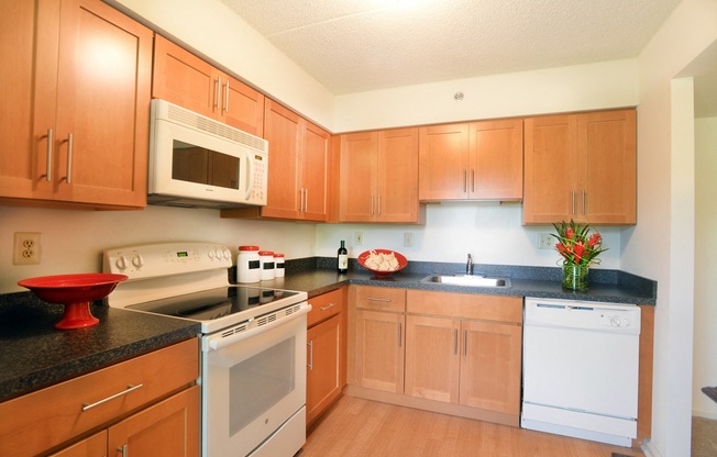 Upgraded Kitchen at Chaddwell Apartments