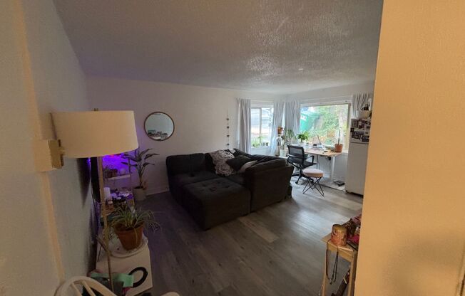 1 bed, 1 bath, 497 sqft, $1,500, Unit 208