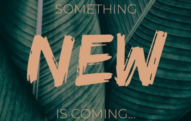 6462 CINNAMON HAZELNUT ST