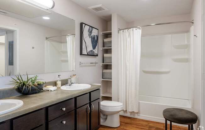 A bathroom with a toilet, sink, mirror, and a plant.