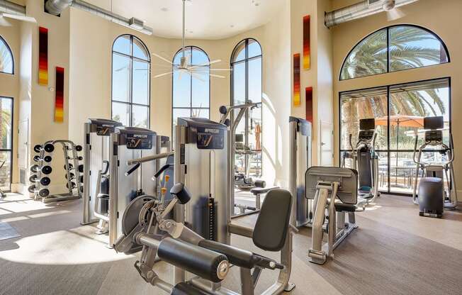 a gym with cardio equipment and windows at the resort at longboat key club