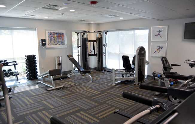 Parkside commons gym and equipment