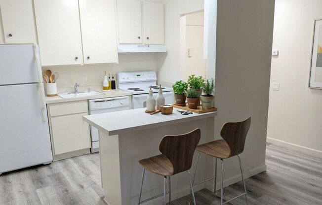 1 bed, 1 bath, 531 sqft, $1,500, Unit 161124