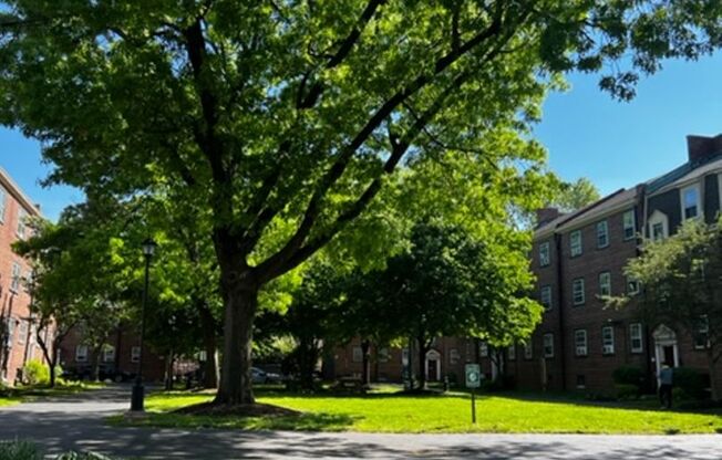1 bed, 1 bath, 500 sqft, $1,499, Unit N7640C