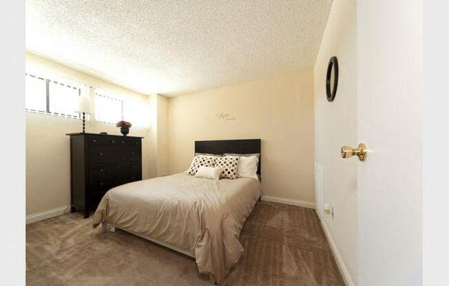 Gallery Photo 19