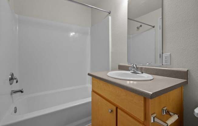 a bathroom with a sink and a shower and a mirror