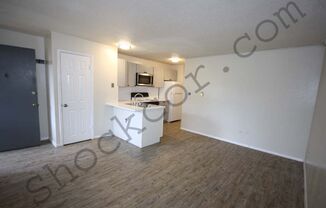 1 bed, 1 bath, 495 sqft, $1,200, Unit 105