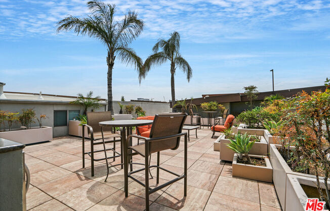 1 bed, 1 bath, 735 sqft, $2,500, Unit 308