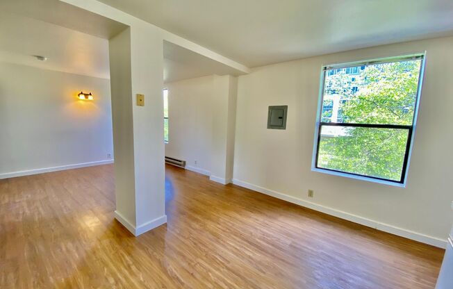 Studio, 1 bath, 413 sqft, $1,295, Unit 310