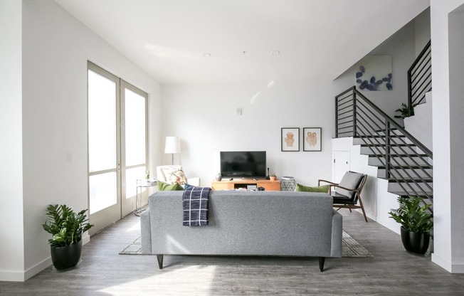 Staged Living Room with view form behind couch