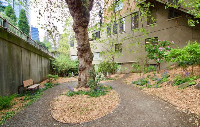 Studio, 1 bath, 527 sqft, $1,625, Unit 0604