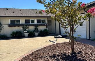 Beautifully Updated 4 Bedroom, 3 Bath Single-Story Home with Backyard Oasis
