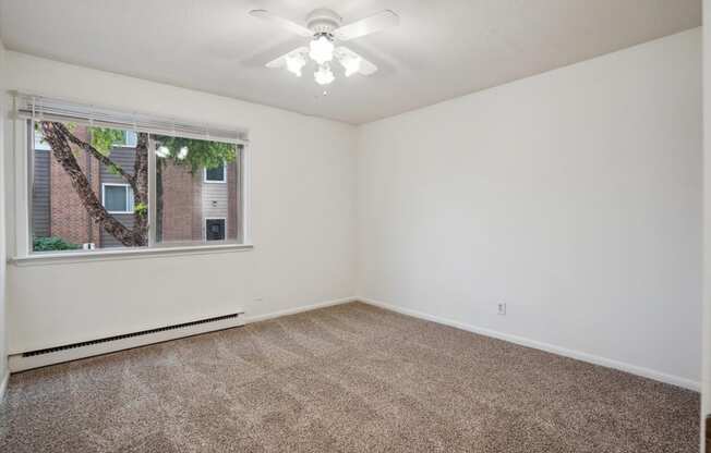 Bedroom with Plush Carpeting