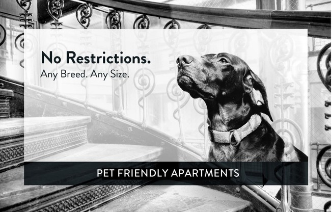 Colonial Terrace pet friendly