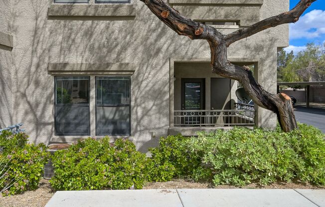 1 bed, 1 bath, $1,300, Unit # 1061