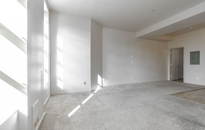 Studio, 1 bath, 414 sqft, $949, Unit 303