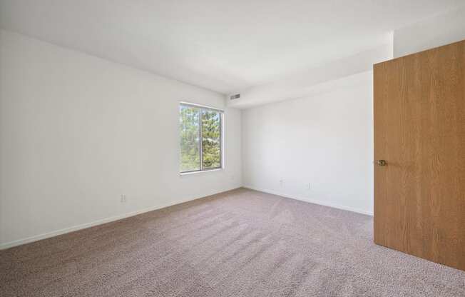 Bedroom with Plush Carpeting