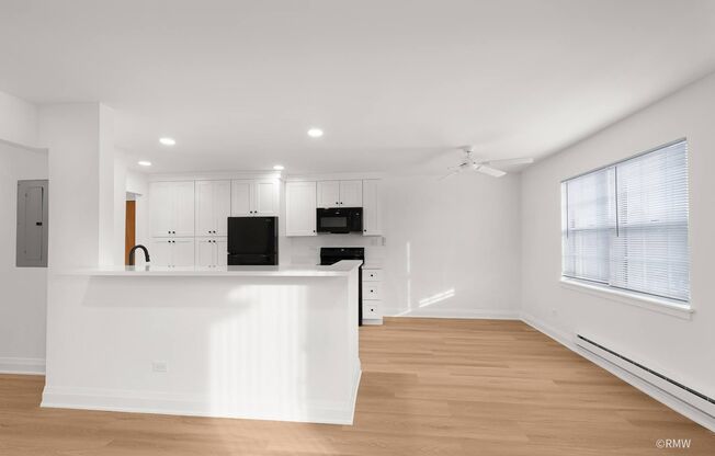 220-248 S. Rush Street
