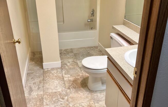 Studio, 1 bath, 393 sqft, $1,295, Unit 318