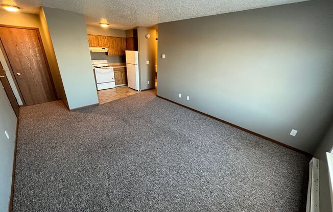 Storm Lake 24-Unit (Northpark Apartments)