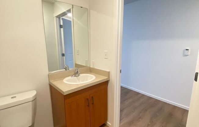 Studio, 1 bath, 170 sqft, $1,350, Unit 2300