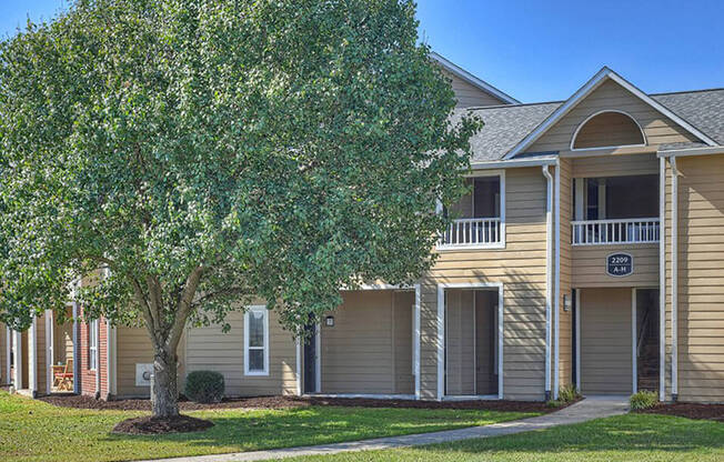 Shade Trees at apartment complex