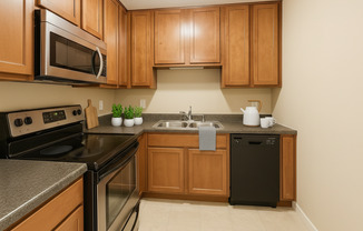 3729 Snelling Ave. #205, Minneapolis MN 55406